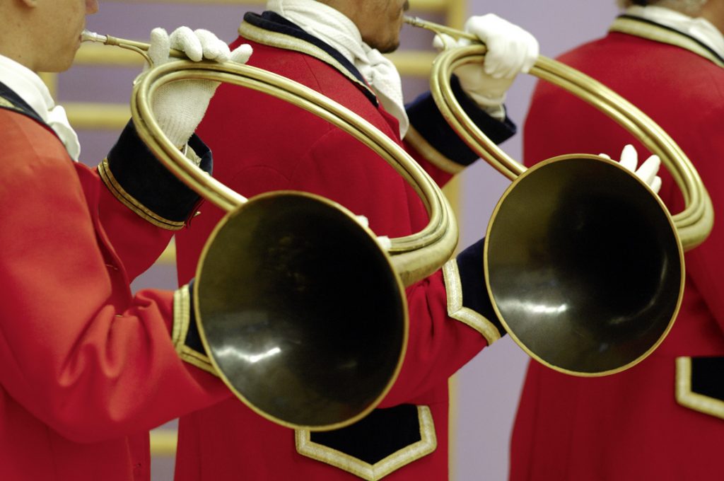 Cultissime Lièvre à la Royale de la bastide