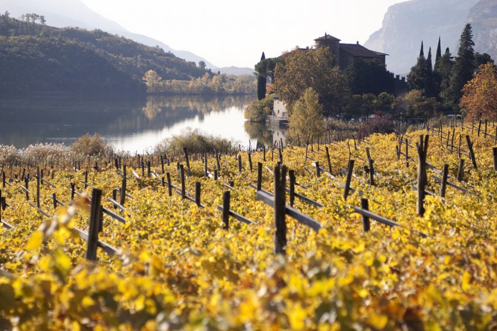 Vignes au bord d'un lac : lieu d'exception et du terroir