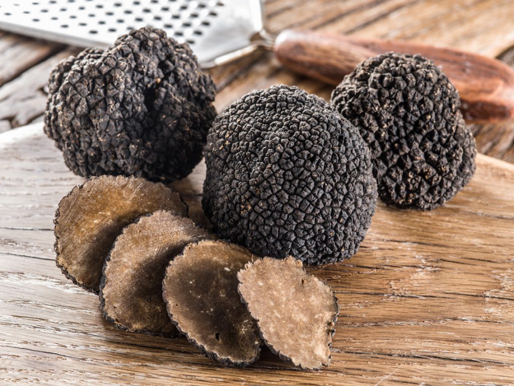 Truffes & Terroirs