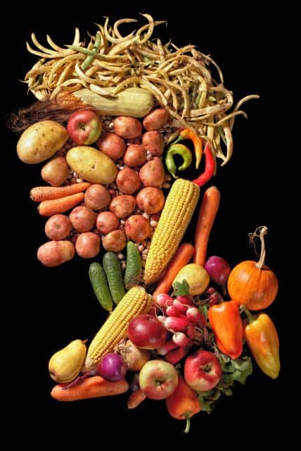Le Tous Légumes de l’abbaye par Arcimboldo